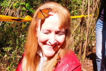 mariposa monarca valle de bravo 2